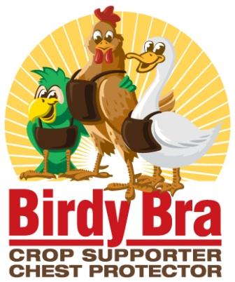 Birdy Bra crop suppoter crop bra and chest protector